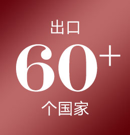 出口60多个国家